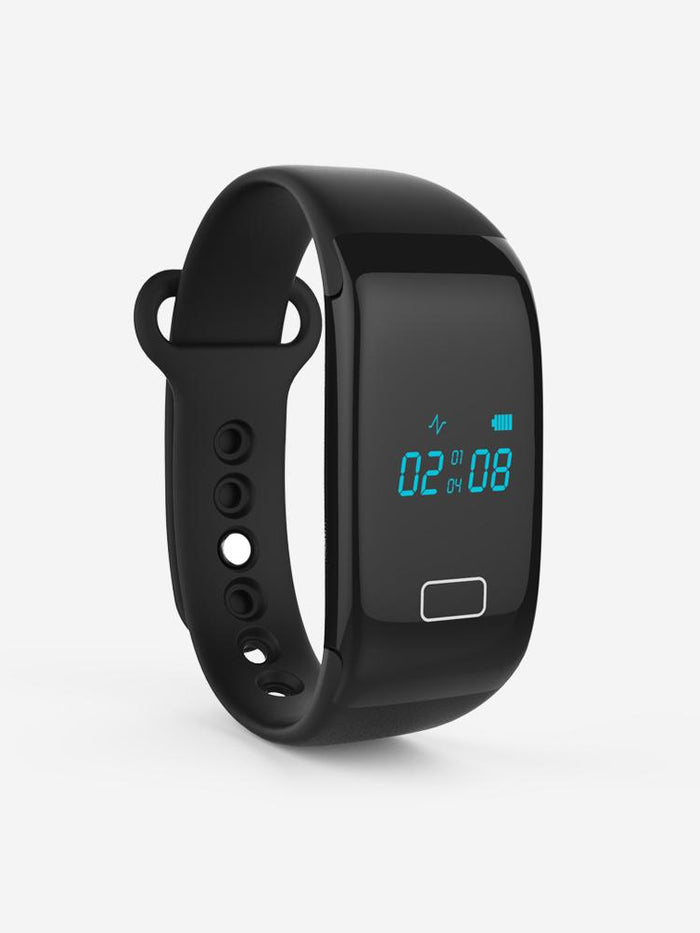 Mollis Dui vulputate